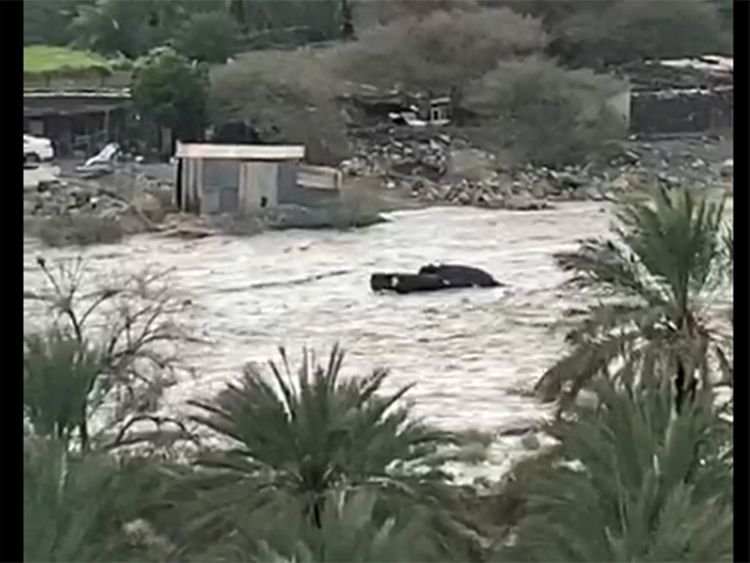 Video: 4 Dead, 3 Rescued In Sharjah As Floods Swept Wadi