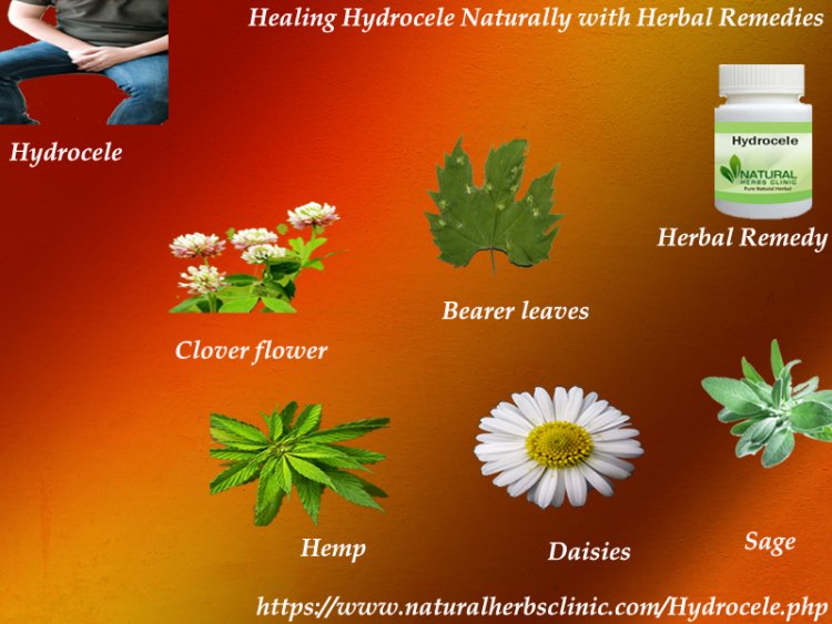 Natural Healing Process of Hydrocele